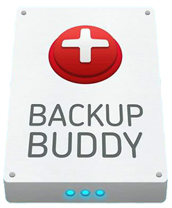 BackupBuddy: la Migliore Soluzione per il Backup di WordPress